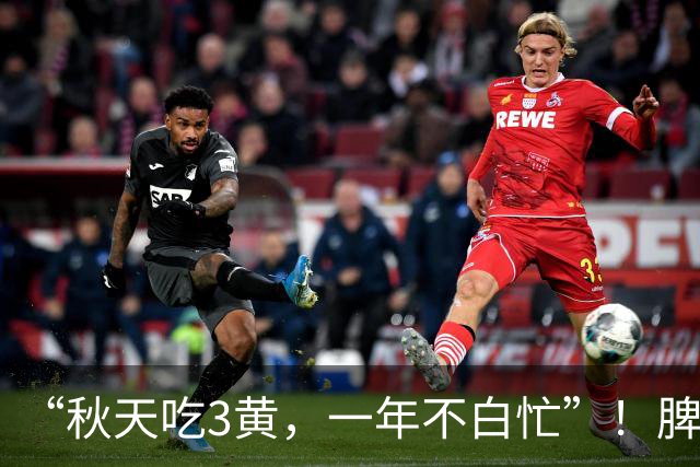 “秋天吃3黄，一年不白忙”！脾胃舒服，远离秋燥，为秋冬打基础