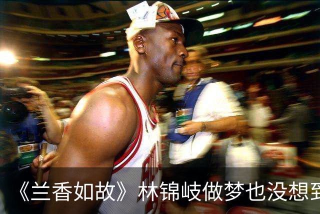 《兰香如故》林锦岐做梦也没想到！鲁鉴殴打林绣莱，就是故意做给他看的——鲁鉴等的就是林锦岐动手