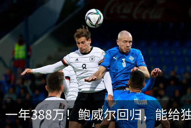 一年388万！鲍威尔回归，能给独行侠带来什么？