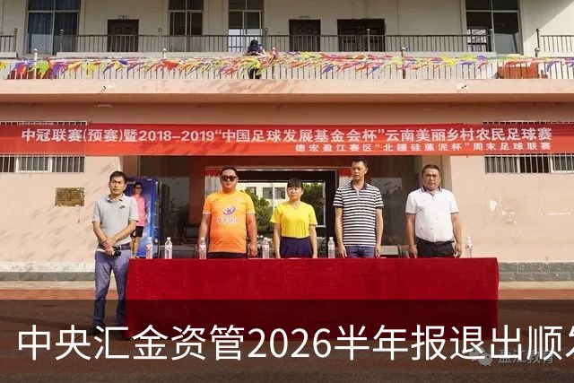 中央汇金资管2026半年报退出顺发恒能、云南能投前十大股东名单！