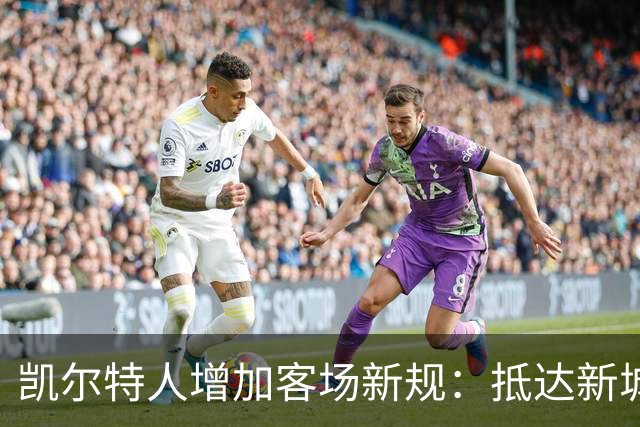 凯尔特人增加客场新规：抵达新城市后全队必须做15分钟瑜伽