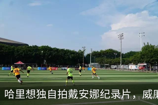 哈里想独自拍戴安娜纪录片，威廉那边传出了"强烈不满"