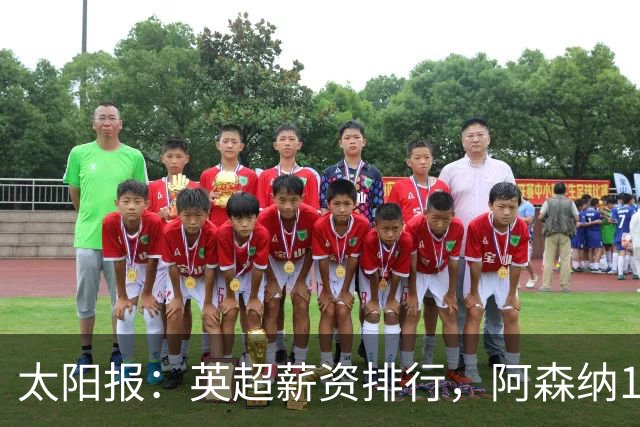 太阳报：英超薪资排行，阿森纳1.75亿镑居首