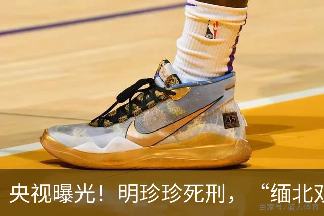 央视曝光！明珍珍死刑，“缅北双煞”白应兰、魏榕还能躲多久？