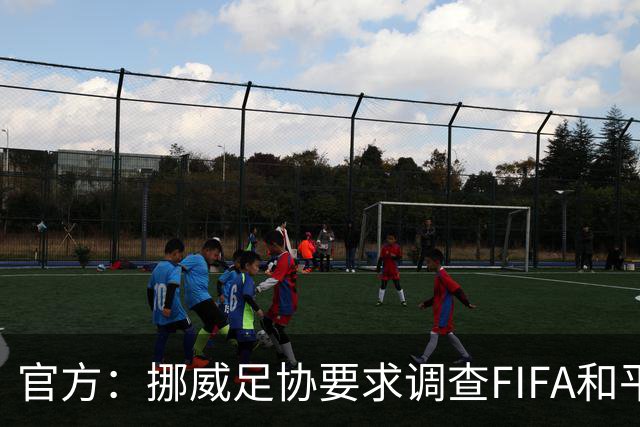 官方：挪威足协要求调查FIFA和平奖、巴洛贡和前进计划三起严重事件