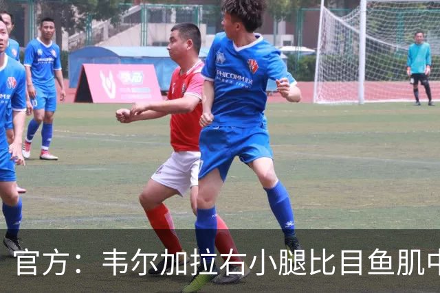 官方：韦尔加拉右小腿比目鱼肌中度拉伤；据悉至少休战15天