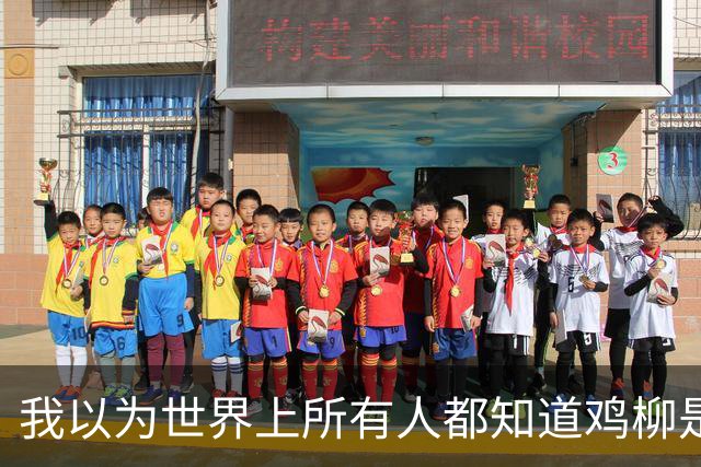 我以为世界上所有人都知道鸡柳是什么？直到我点开了这个帖子…