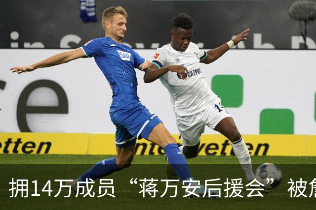 拥14万成员“蒋万安后援会”被詹江村踢爆：管理员竟都是“青鸟”