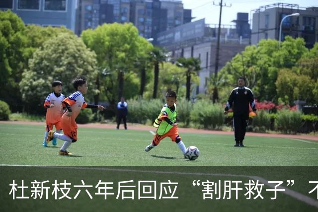 杜新枝六年后回应“割肝救子”不实：医疗记录如何还原真相？