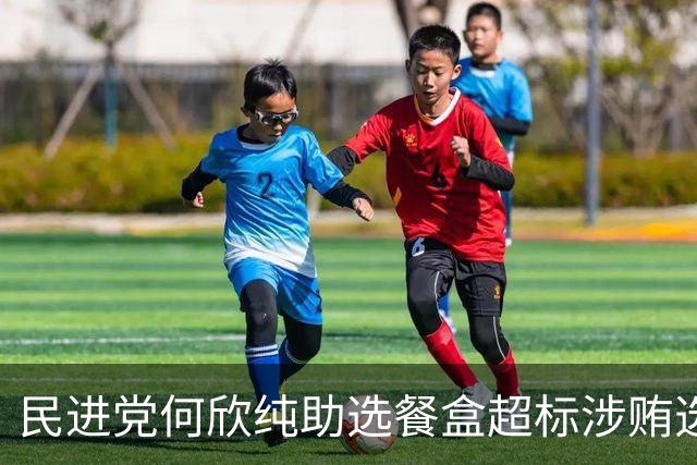 民进党何欣纯助选餐盒超标涉贿选？江启臣：为了台中的未来站出来