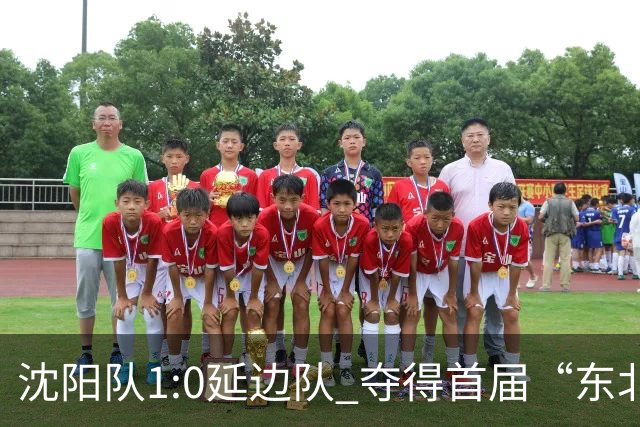 沈阳队1:0延边队 夺得首届“东北超”季军