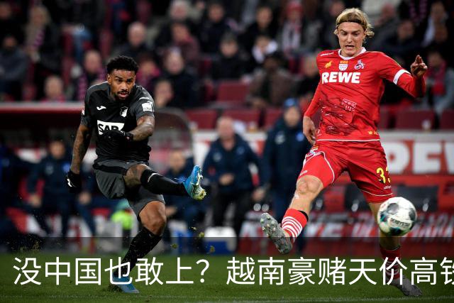 没中国也敢上？越南豪赌天价高铁，铃木押印度提速，都在抢“快”
