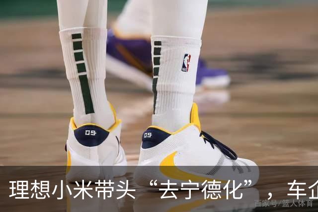理想小米带头“去宁德化”，车企集体掀桌子不是因为价格