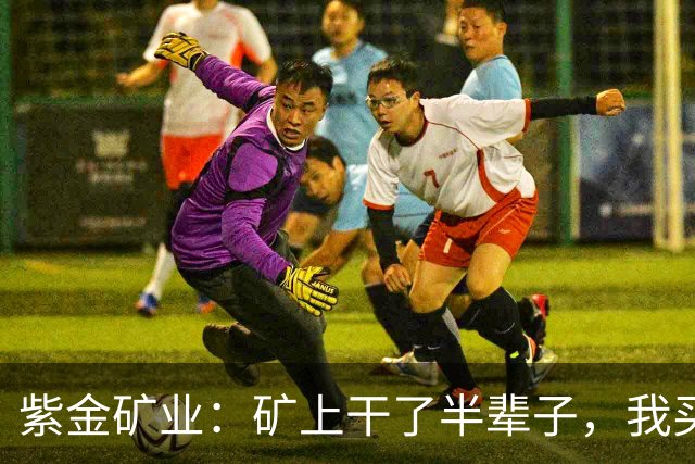 紫金矿业：矿上干了半辈子，我买金矿当存钱