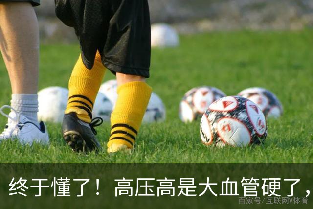 终于懂了！高压高是大血管硬了，低压高是小血管堵了？