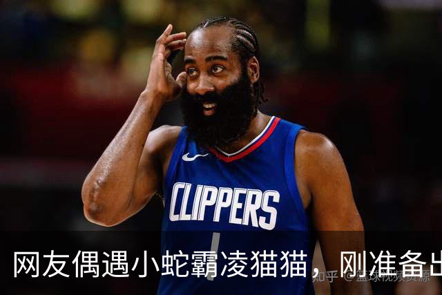 网友偶遇小蛇霸凌猫猫，刚准备出手相助，结果笑skr人！