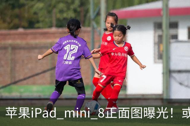 苹果iPad mini 8正面图曝光！或 10月发