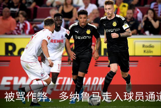 被骂作弊，多纳鲁马走入球员通道又返回与利物浦球迷争辩