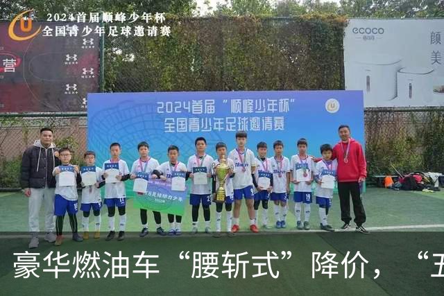 豪华燃油车“腰斩式”降价，“五折清仓”价格防线全面失守