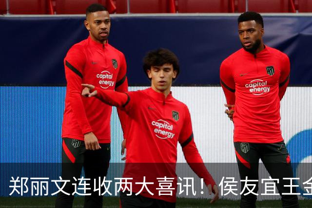 郑丽文连收两大喜讯！侯友宜王金平齐出手，谢家下场给蓝营上了一课