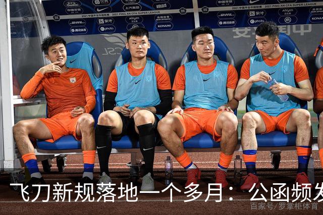 飞刀新规落地一个多月：公函频发却石沉大海，备案率怎么样？