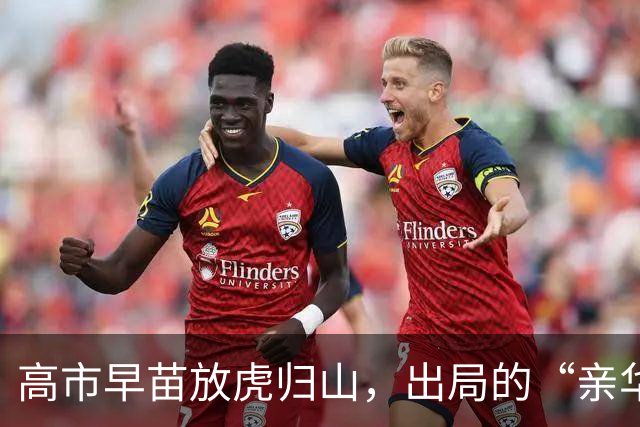 高市早苗放虎归山，出局的“亲华派”林芳正，很可能会把她拉下马
