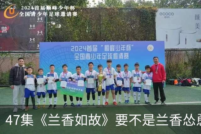 47集《兰香如故》要不是兰香怂恿林绣茹和离，永远不会发现，为何袁绍辉死后，林绣茹一生守寡
