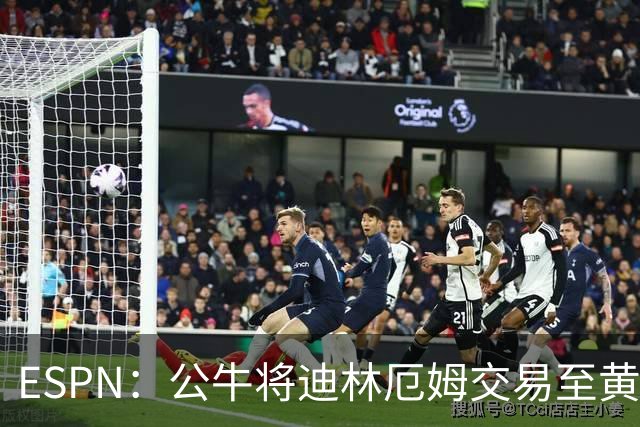 ESPN：公牛将迪林厄姆交易至黄蜂 换回希尔德以及现金